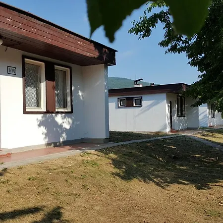 Banik