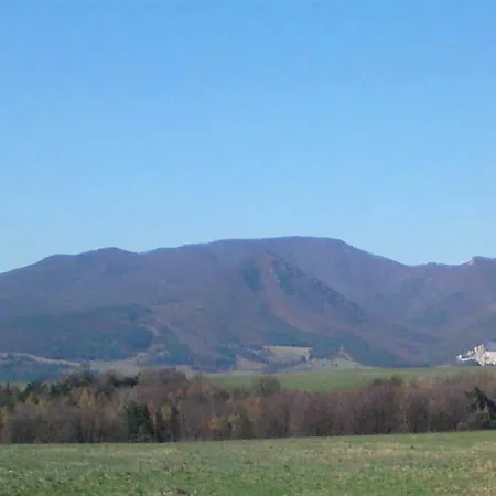 Banik