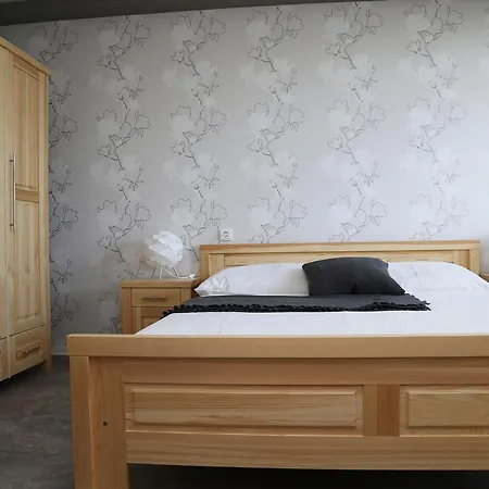 Banik Hotel Nitrianske Rudno