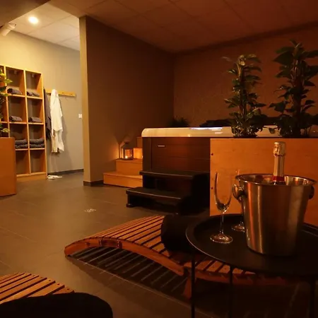 Hotel Banik 3*
